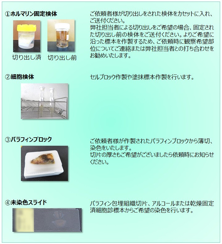 お取り扱い検体